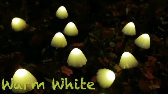 2700K IP55 Solar Powered LED String Lights / Mushroom Solar Garden Lights Wedding Festive Decoration